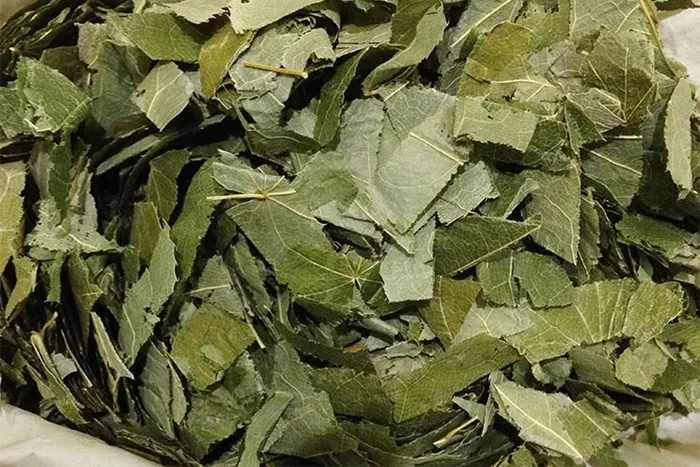 Horny Goat Weed Extract Powder