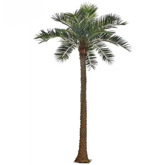 شجرة نخيل التمر - زهور