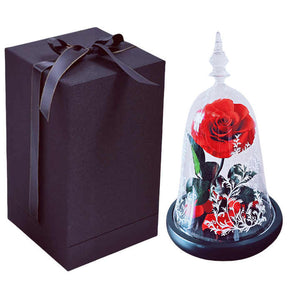 Gift for Valentine's Day and Birthday Gifts- High Value Real Rose Flowers