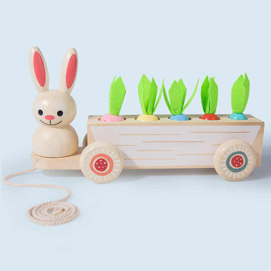Fruit and vegetable entertainment games 