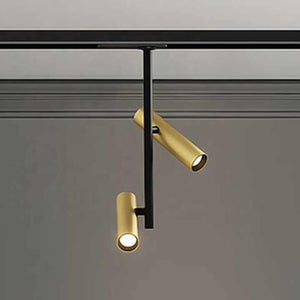 Magnetic lighting system for the room 