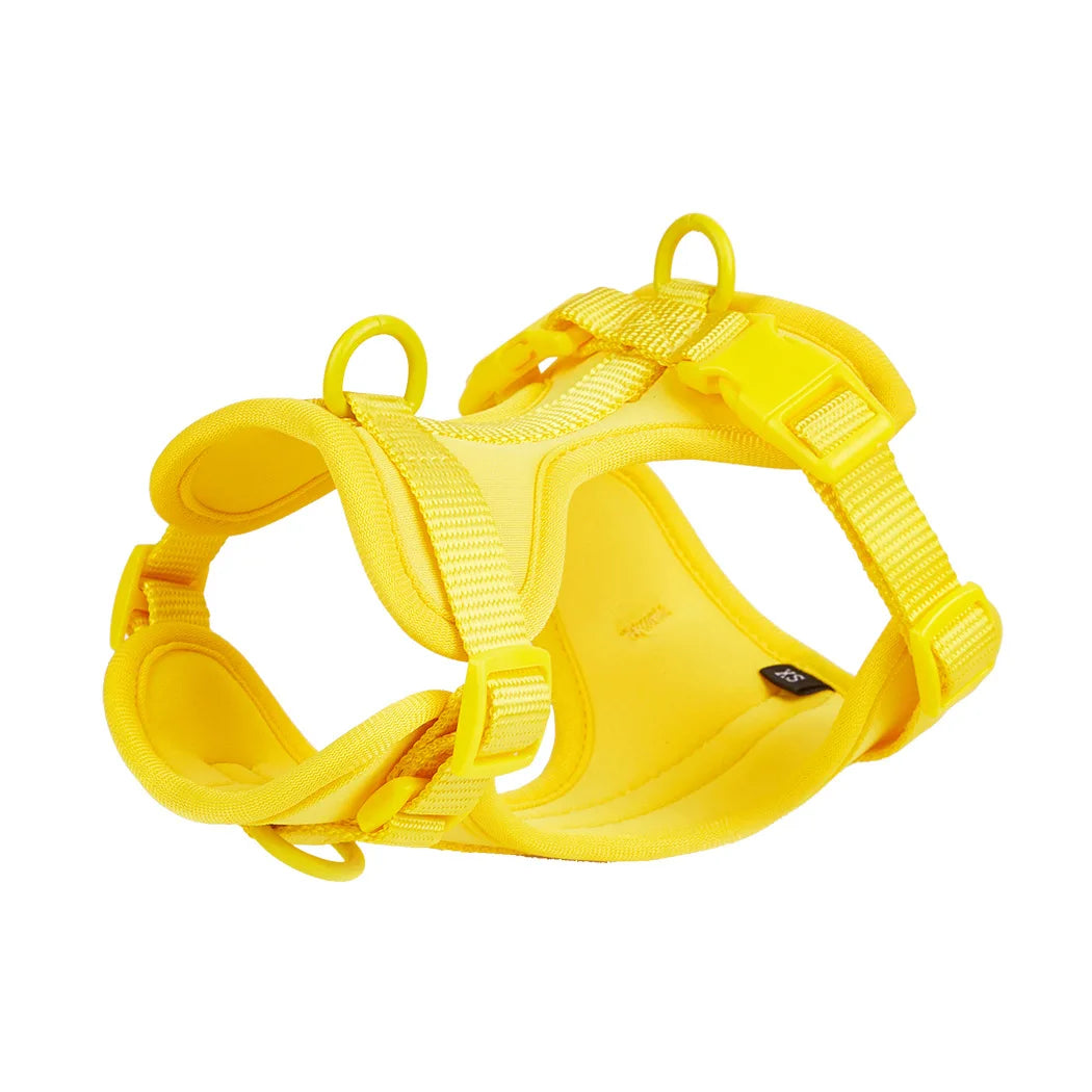 Pet Accessories - Pet Walking 