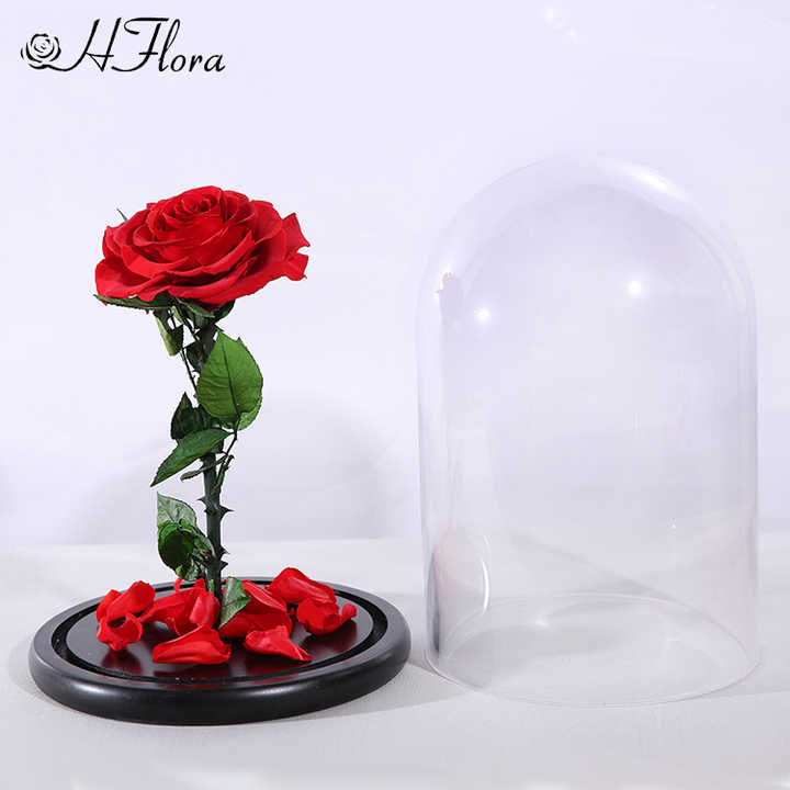 Preserved Roses in Glass Dome - Decorative Flower Gift Box