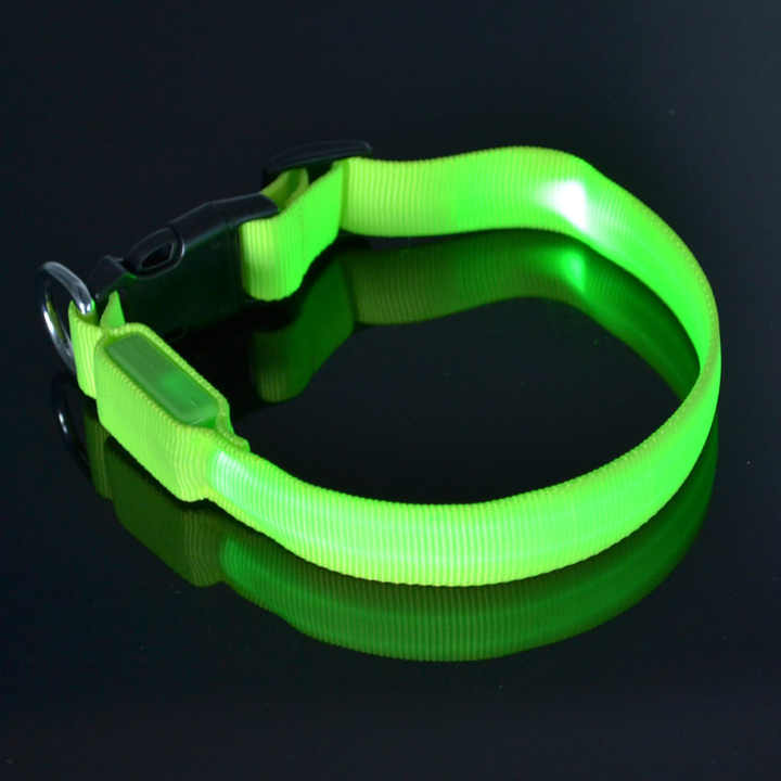 Dog Training Collar - Animal Accessories 