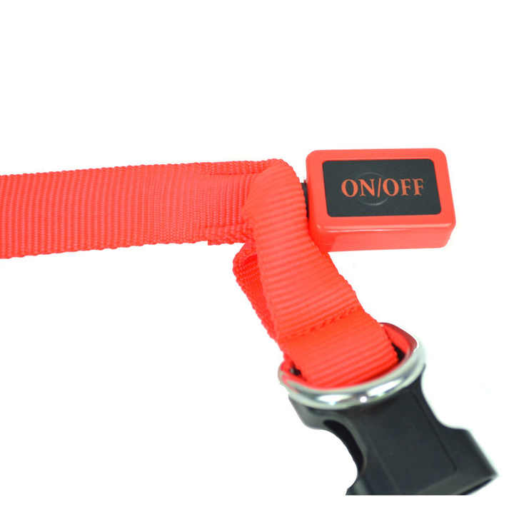 Dog Training Collar - Animal Accessories 