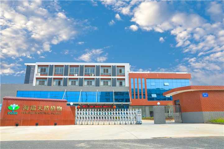 Morocco Argan Essential Oil With Discount 