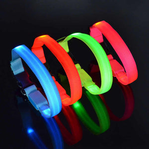 Dog Training Collar - Animal Accessories 