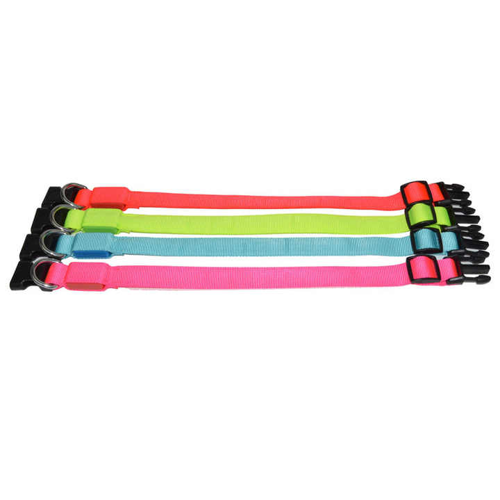 Dog Training Collar - Animal Accessories 