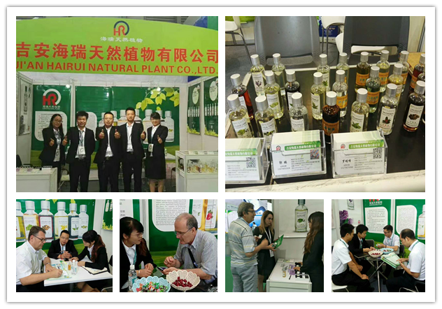 Morocco Argan Essential Oil With Discount 