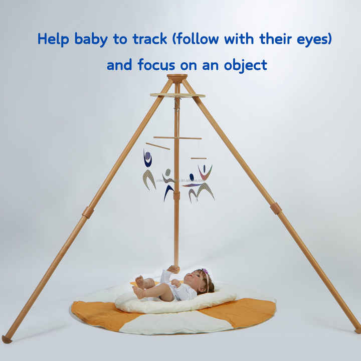 Montessori Newborn Educational-Educational Toy Set 