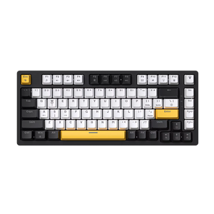 TKL compact wired switches