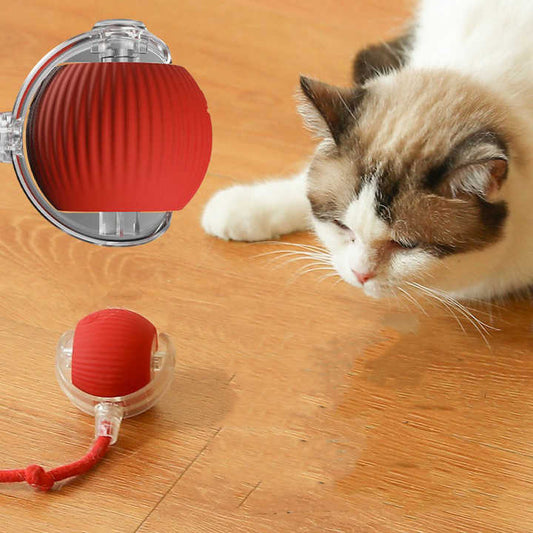 Bite-resistant Automatic Teaser Ball Cat Toy Ball High Self . 