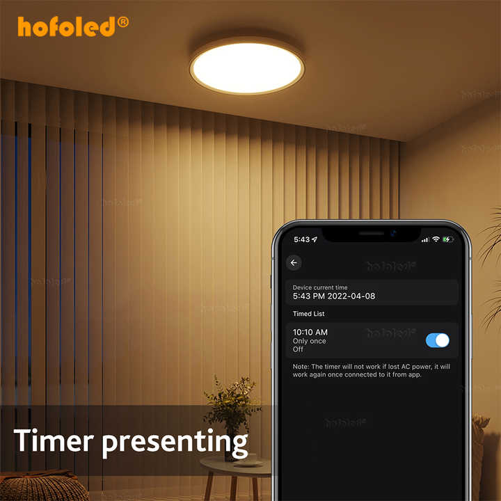 Modern smart ceiling lamp 
