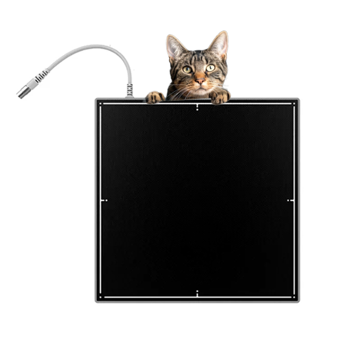 14x17 Inch High Resolution Veterinary Medical Wireless X-ray Machine 
