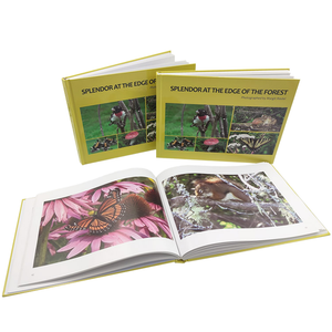 ألبوم صور فني