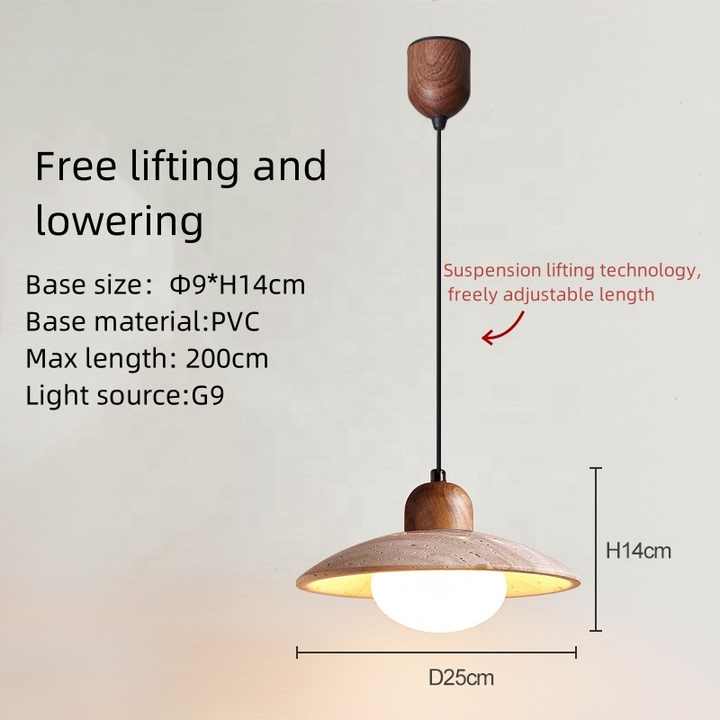 Antique Japanese Pendant Light 