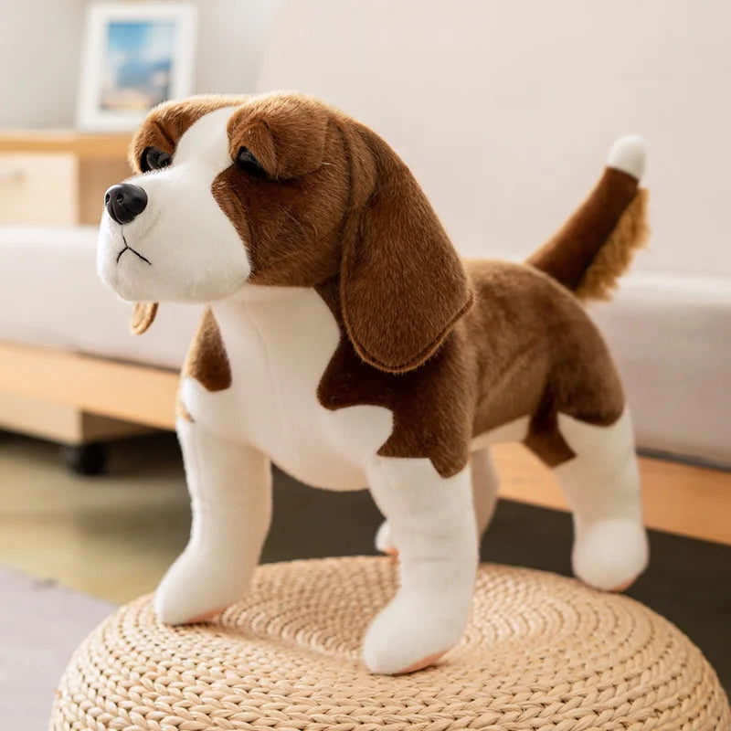 Animal accessories - animal toys 