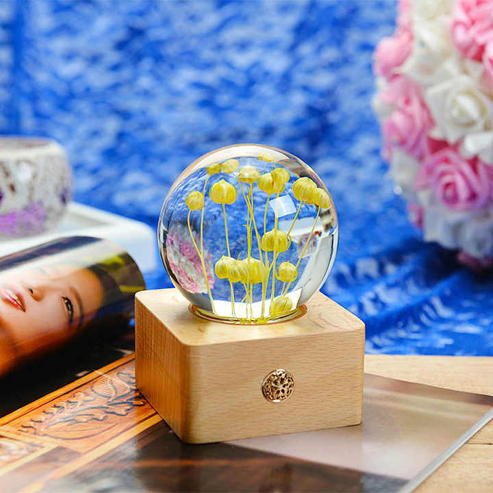 Unique Hot Item Novelty Gifts-Night Light 