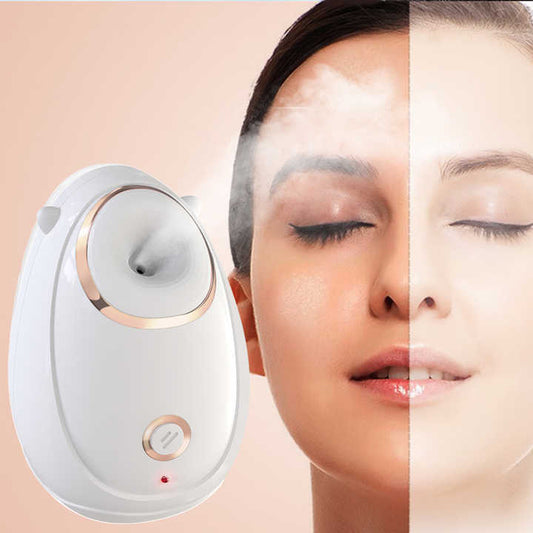 Ionic Facial Steamer 