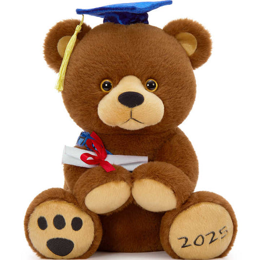 Gift for Graduates - Cute Teddy Bear Toy 
