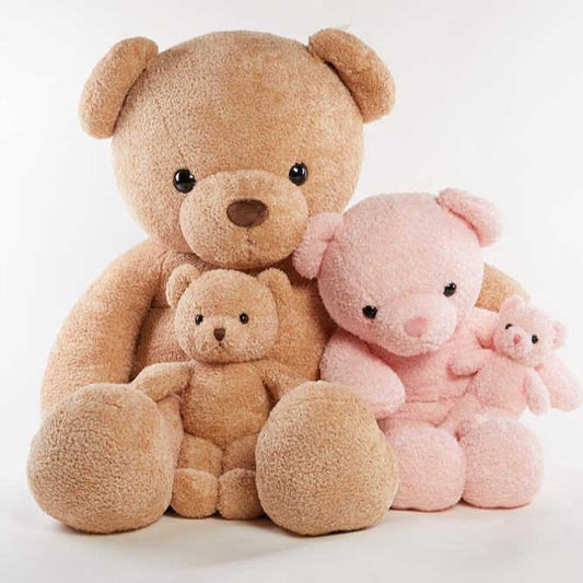 Teddy Bear Valentine Teddy Bear - Hot Selling Design Custom Teddy Bear Toy 