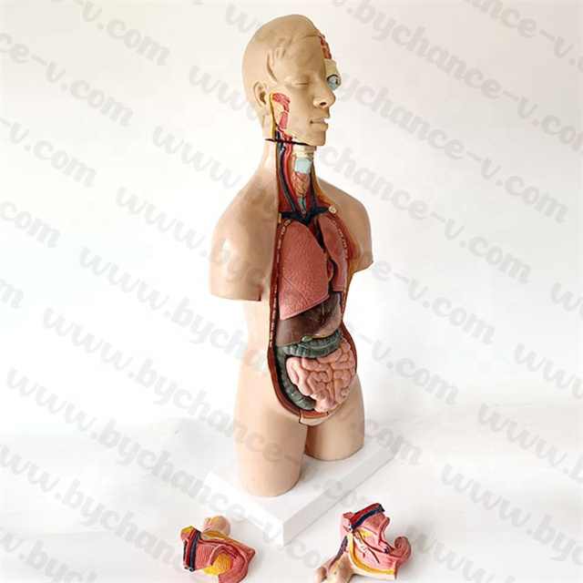 Medical supplies 
