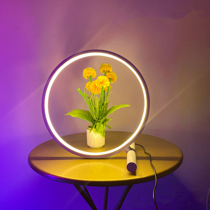 variable table lamp