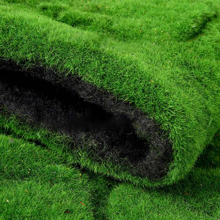 plant wall meter 