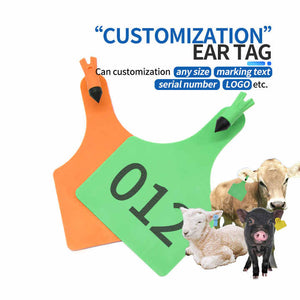 Custom Earring 
