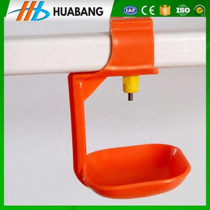 Chicken Drinking Bowls and Feeders 