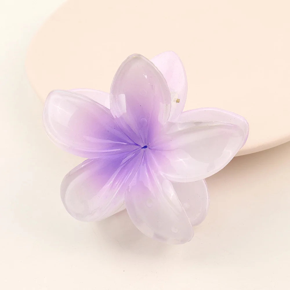 Transparent Hair Clip 