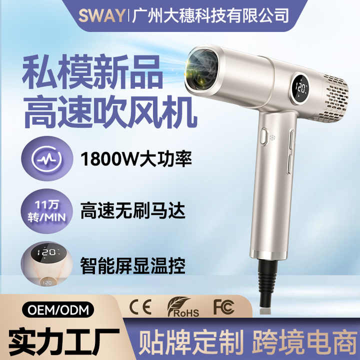 High-Speed ​​High-Power Hair Dryer for 