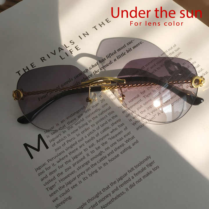 Pilot Sunglasses 