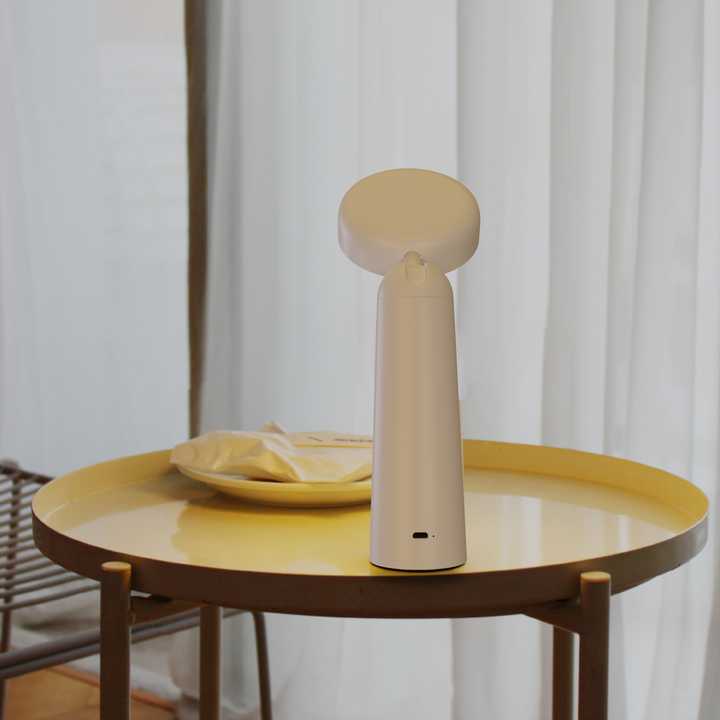 Lighting and lamps 