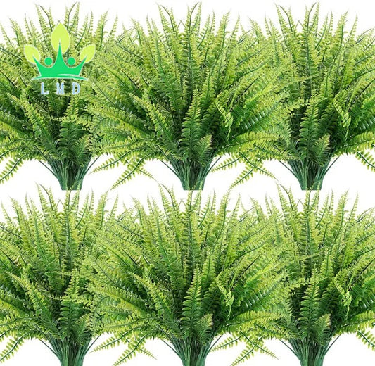 a bunch of ferns 