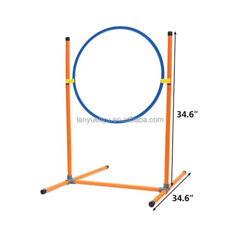 Outdoor Dog Toys - Pet Accessories 