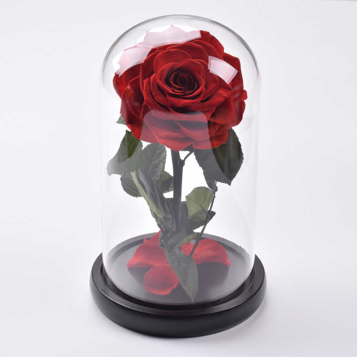 Preserved Roses in Glass Dome - Decorative Flower Gift Box