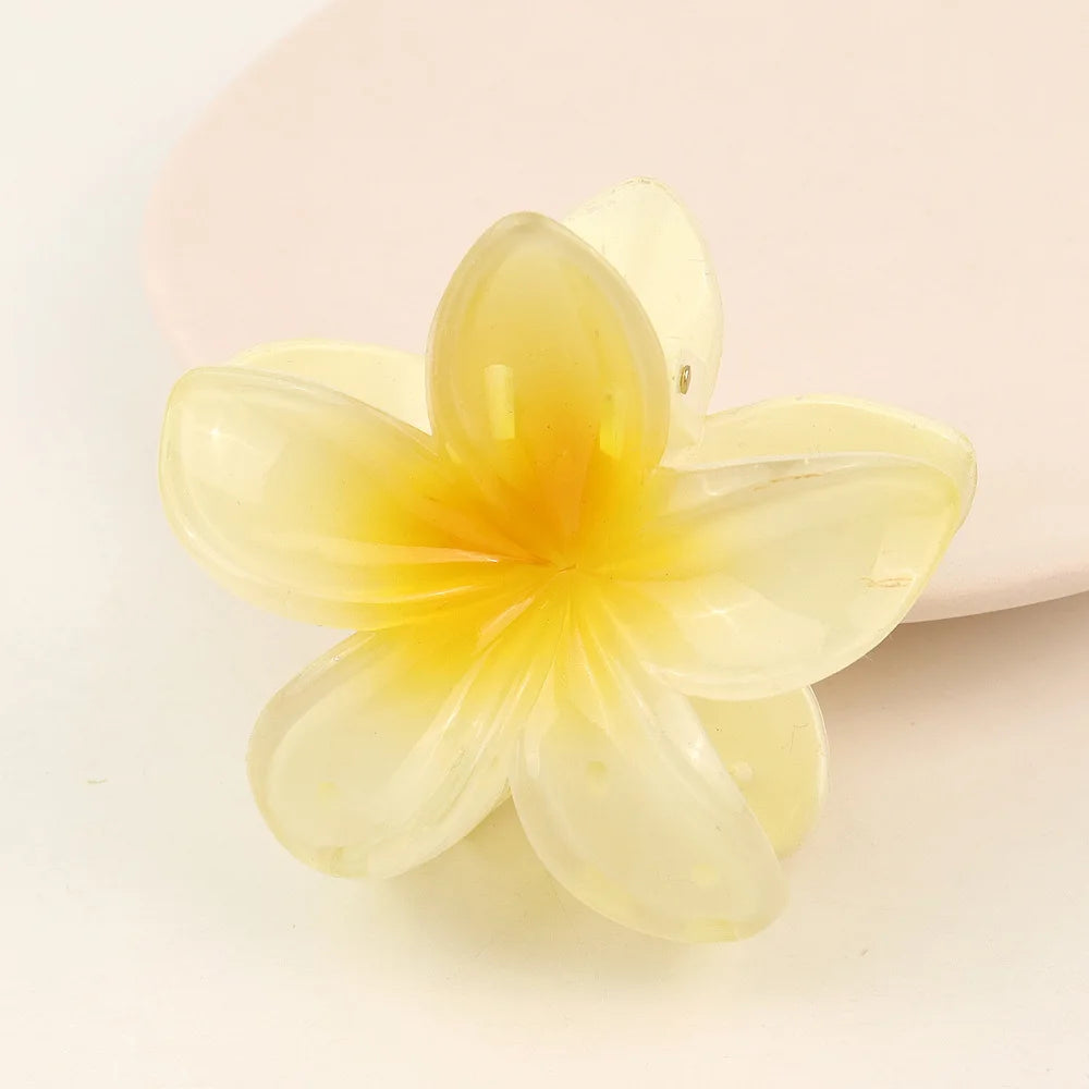 Transparent Hair Clip 