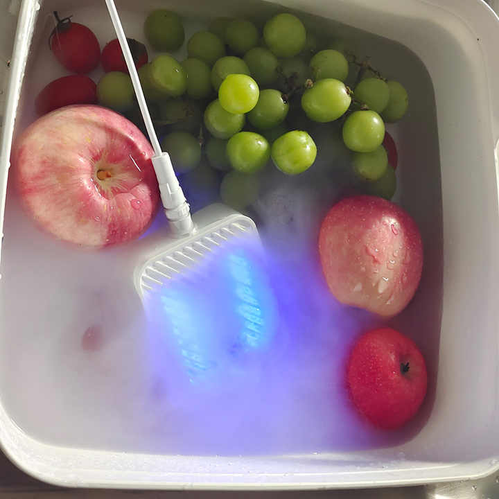 Smart Home Food Purifier for Fruits 