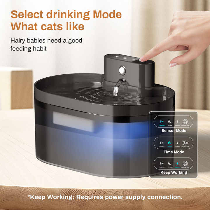 Cordless pet car battery with device. Bowls and feeders. 