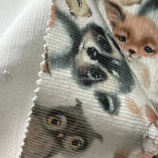 Woven Fabric for Clothe