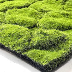 plant wall meter 
