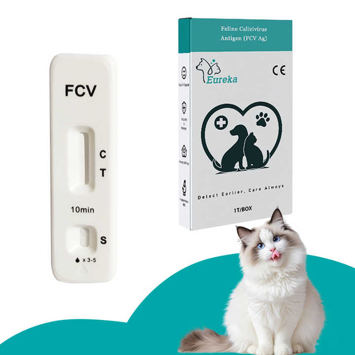 Animal Accessories - Cat Factory Cats 