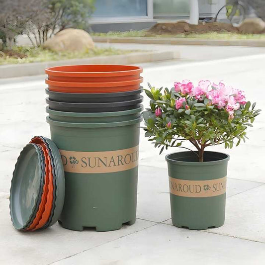 flower plants 
