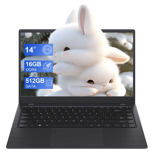 gigahertz laptop 