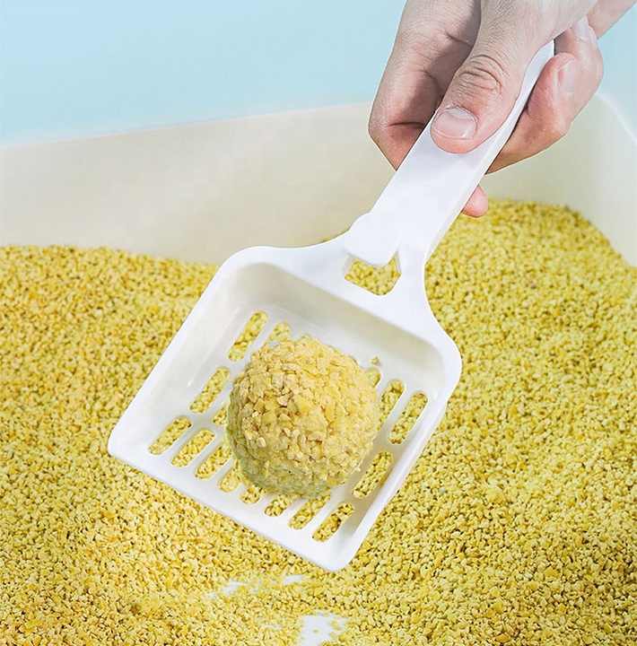 عالي الجودة صديق للمخالب، وزن 10 أرطال ووزن 4.55 كجم، رمل الدخن القوي المتكتل، مانع للرائحة - ادوات تنظيف