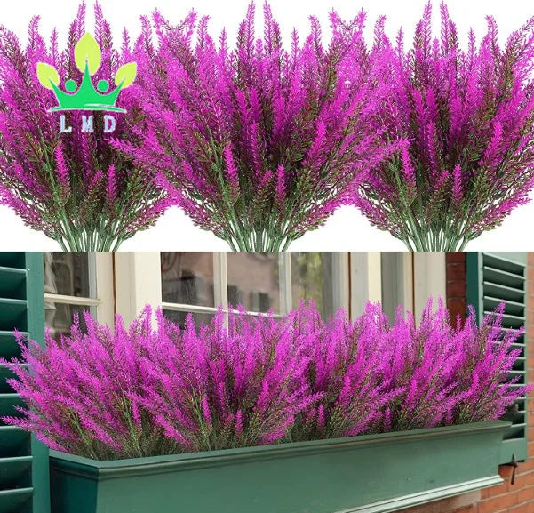 حزمة من نباتات السرخس-a bunch of ferns