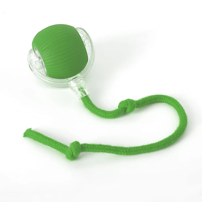Animal Accessories - Interactive Toy Ball 