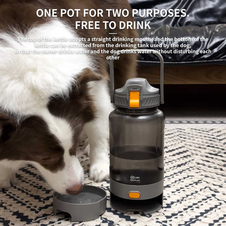 Bowls and Feeders - Portable Water Dispenser for Dogs 