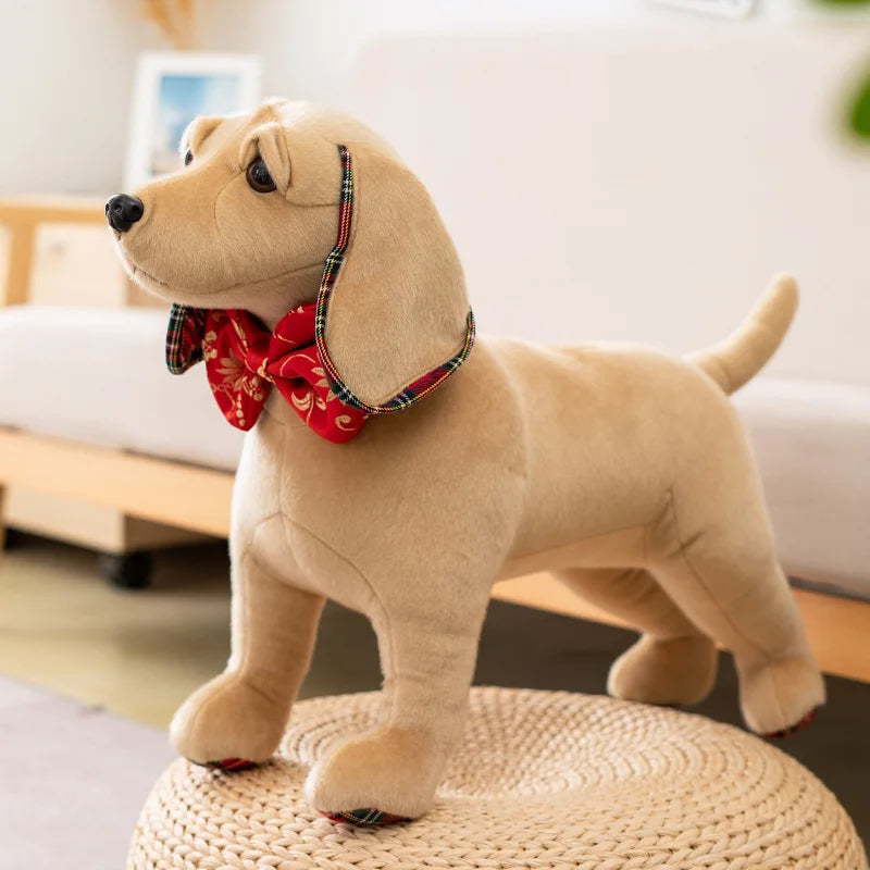 Animal accessories - animal toys 